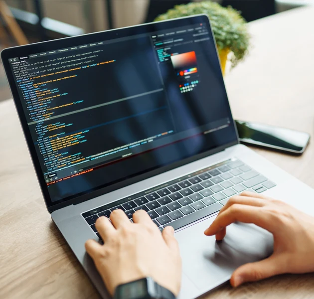 IT development services