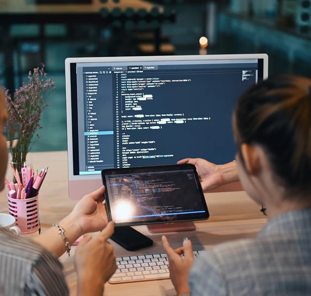 Software development and testing services
